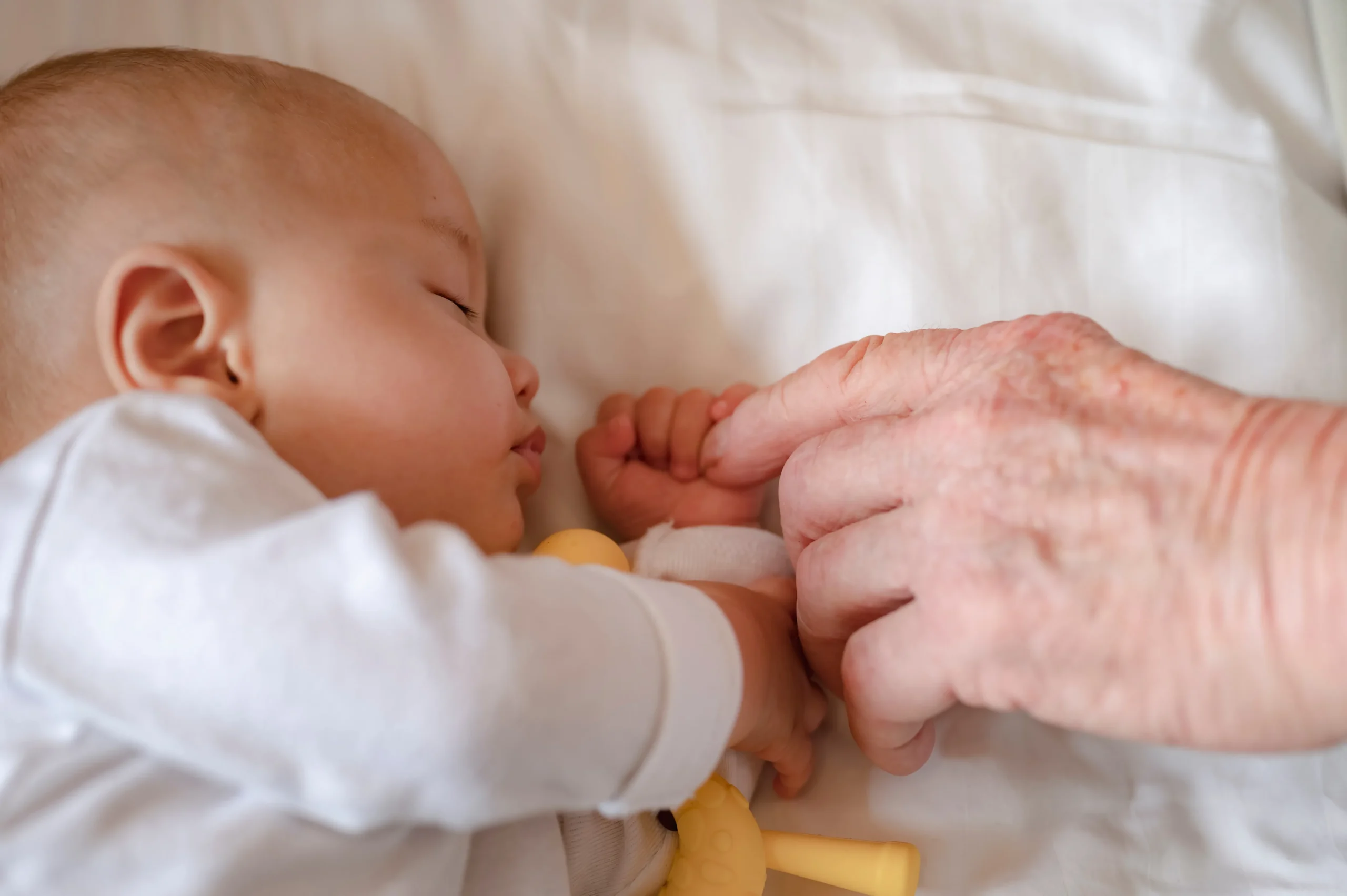 AdobeStock_324724799